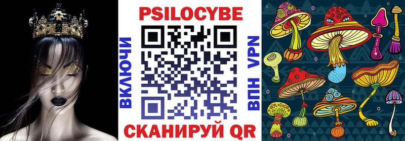 Псилоцибиновые грибы Psilocybe  Купить где  Алзамай 